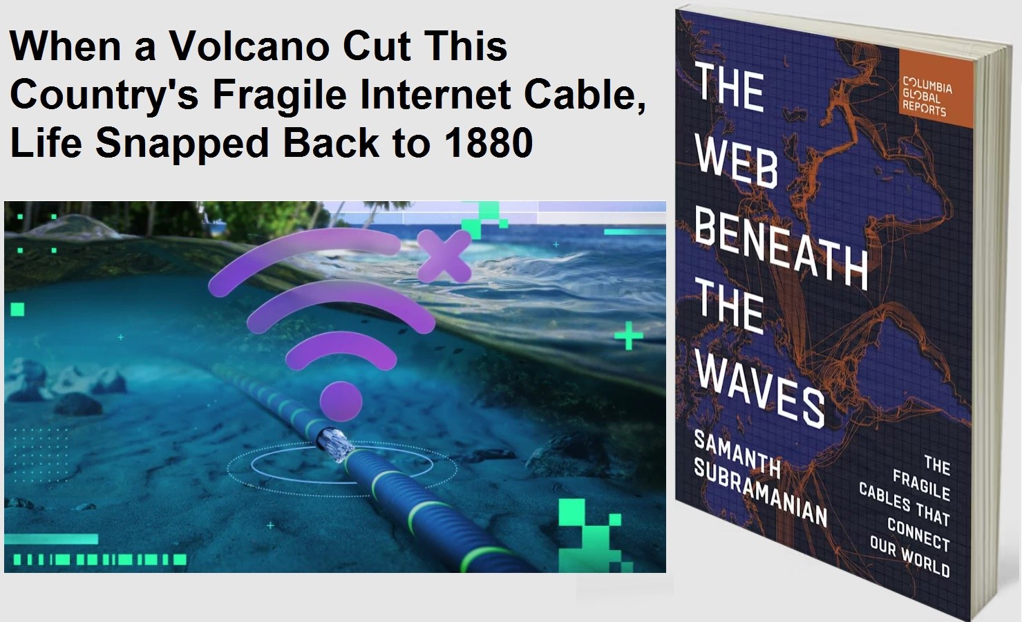 The Web Beneath the Waves