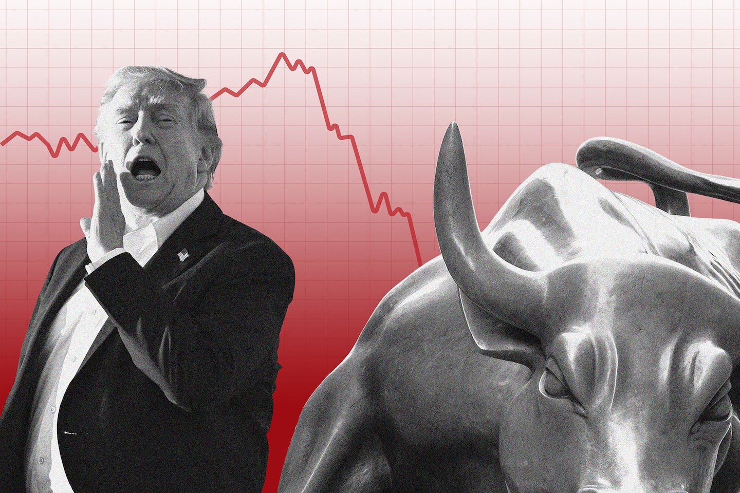 Trump Stock Market