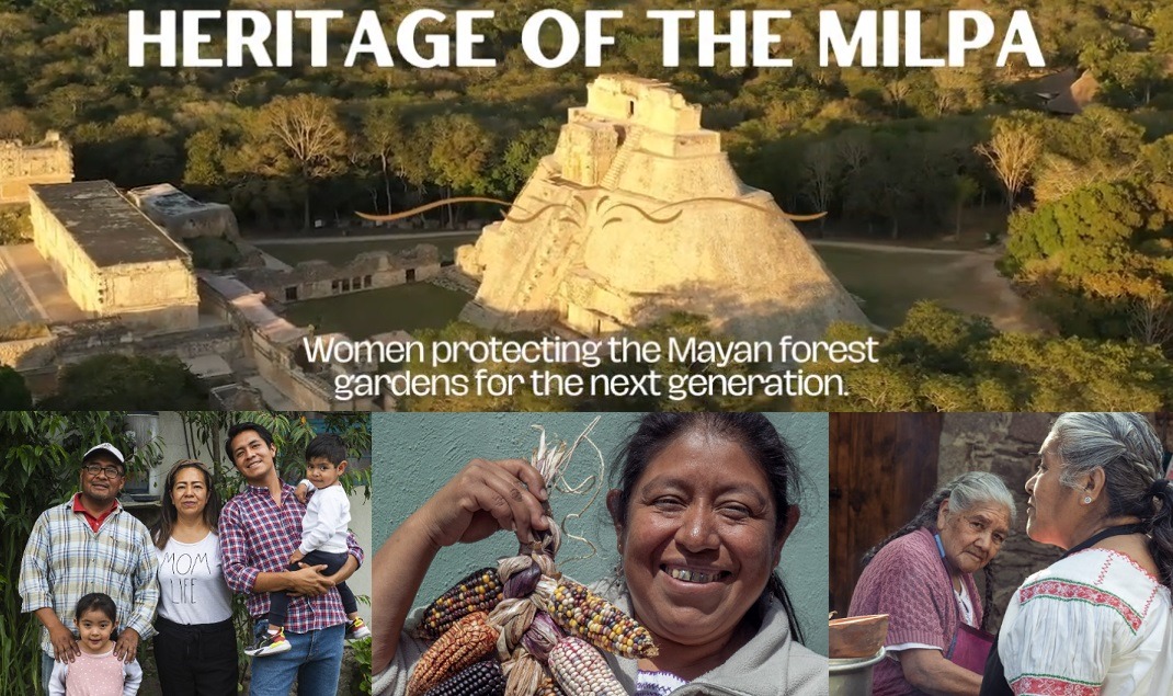 Heritage of the Milpa